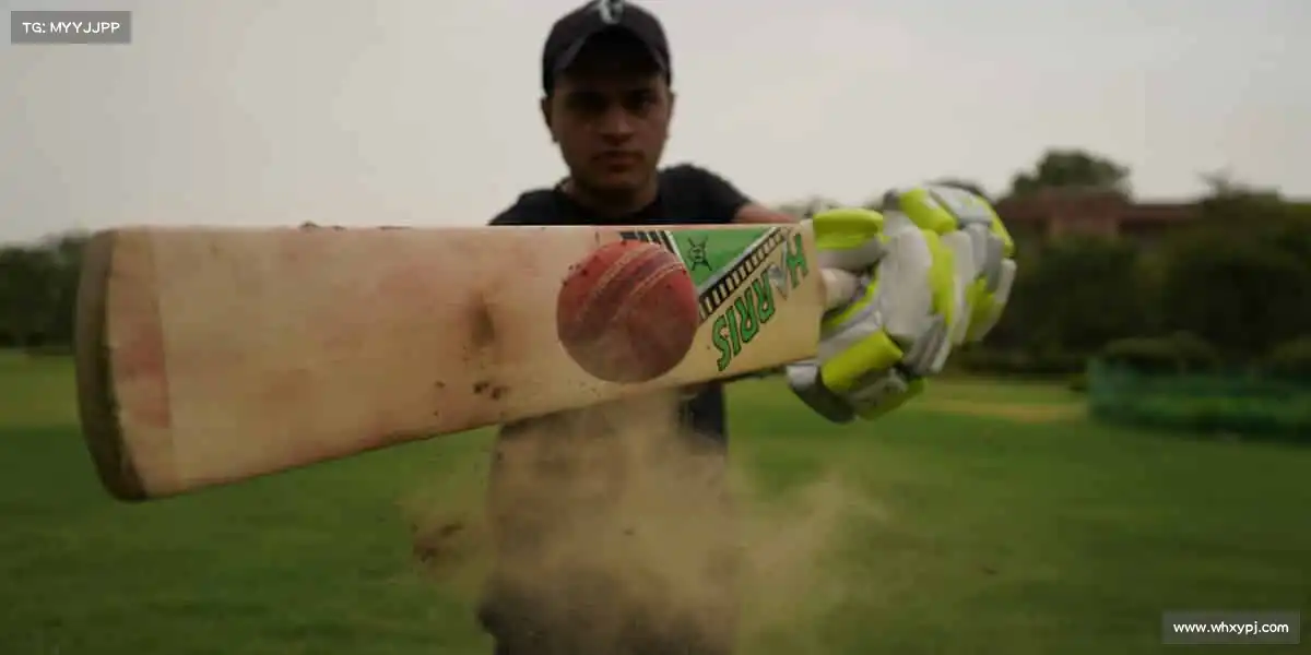 雷火电竞——🏇🌄驾驭风的方向，追逐梦想！